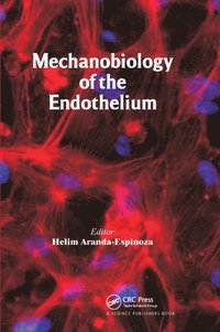 bokomslag Mechanobiology of the Endothelium