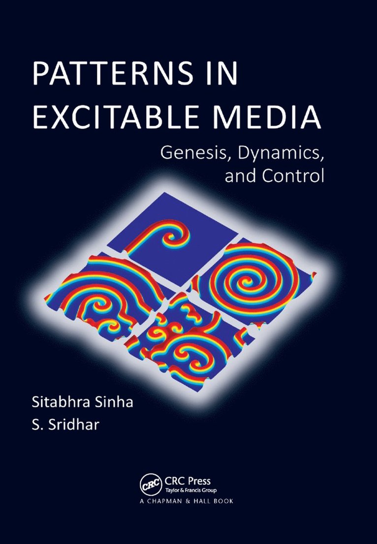 Sitabhra Sinha, S. Sridhar - Patterns in Excitable Media, Häftad