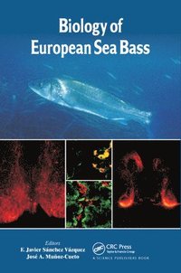 bokomslag Biology of European Sea Bass