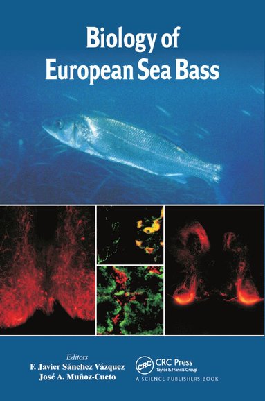 bokomslag Biology of European Sea Bass