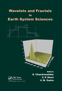 bokomslag Wavelets and Fractals in Earth System Sciences