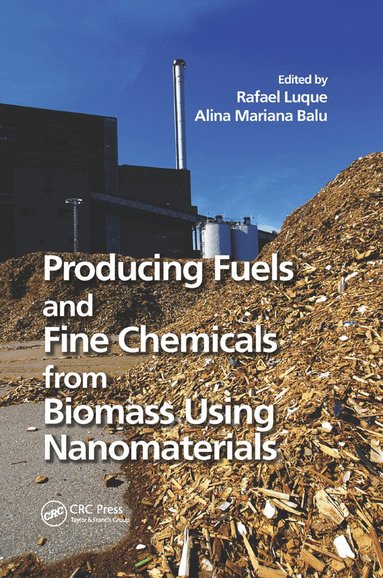 Rafael Luque, Alina Mariana Balu - Producing Fuels and Fine Chemicals from Biomass Using Nanomaterials, Häftad
