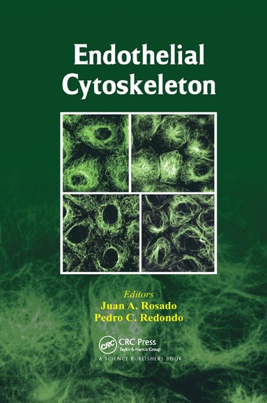 bokomslag Endothelial Cytoskeleton