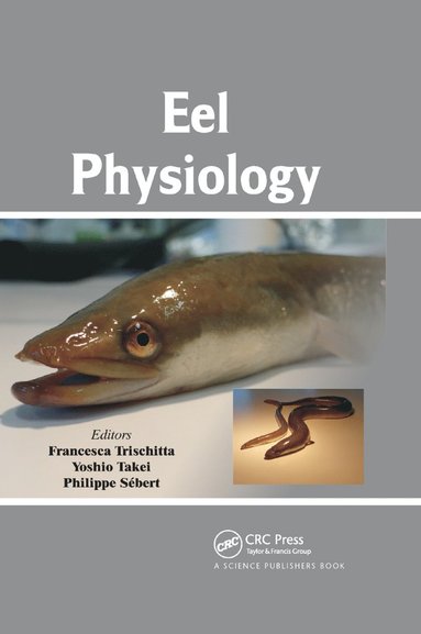 bokomslag Eel Physiology