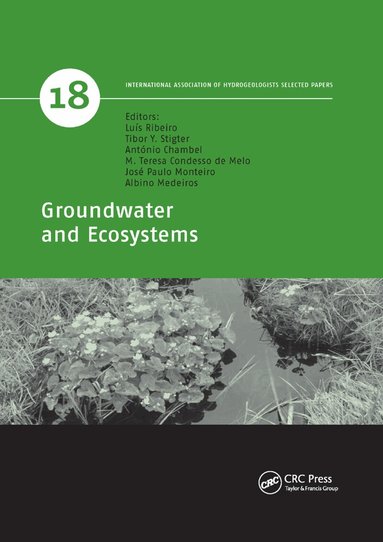 Luis Ribeiro, Tibor Y. Stigter, Antonio Chambel, M. Teresa Condesso de Melo, Jose Paulo Monteiro, Albino Medeiros - Groundwater and Ecosystems, Häftad