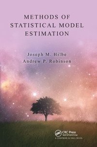 bokomslag Methods of Statistical Model Estimation
