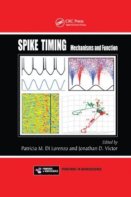 Spike Timing 1