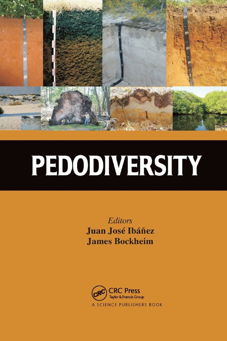 Juan José Ibáñez, James G. Bockheim, Juan Jose Ibanez, James G. Ibáñez, Juan José - Pedodiversity, Häftad