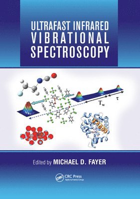 bokomslag Ultrafast Infrared Vibrational Spectroscopy