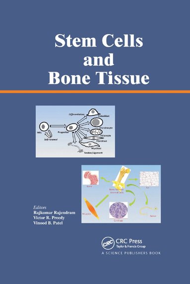 Rajkumar Rajendram, Victor R. Preedy, Vinood Patel - Stem Cells and Bone Tissue, Häftad