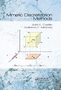 bokomslag Mimetic Discretization Methods