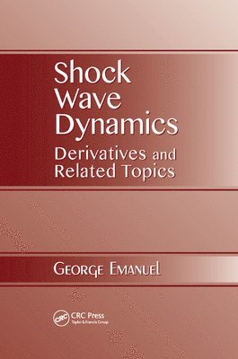 bokomslag Shock Wave Dynamics