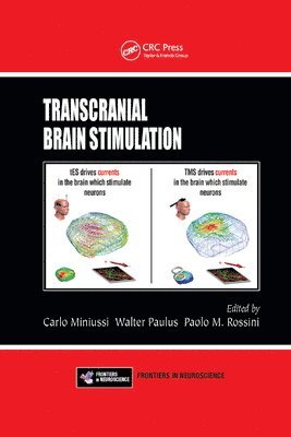 Carlo Miniussi, Walter Paulus, Paolo M. Rossini - Transcranial Brain Stimulation, Häftad