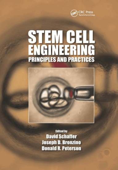 David Schaffer, Joseph D. Bronzino, Donald R. Peterson - Stem Cell Engineering, Häftad
