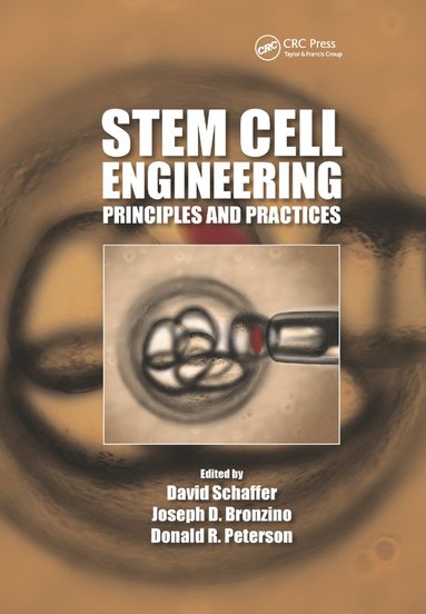 bokomslag Stem Cell Engineering