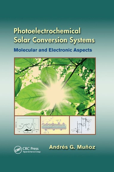 bokomslag Photoelectrochemical Solar Conversion Systems