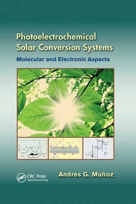 Photoelectrochemical Solar Conversion Systems 1