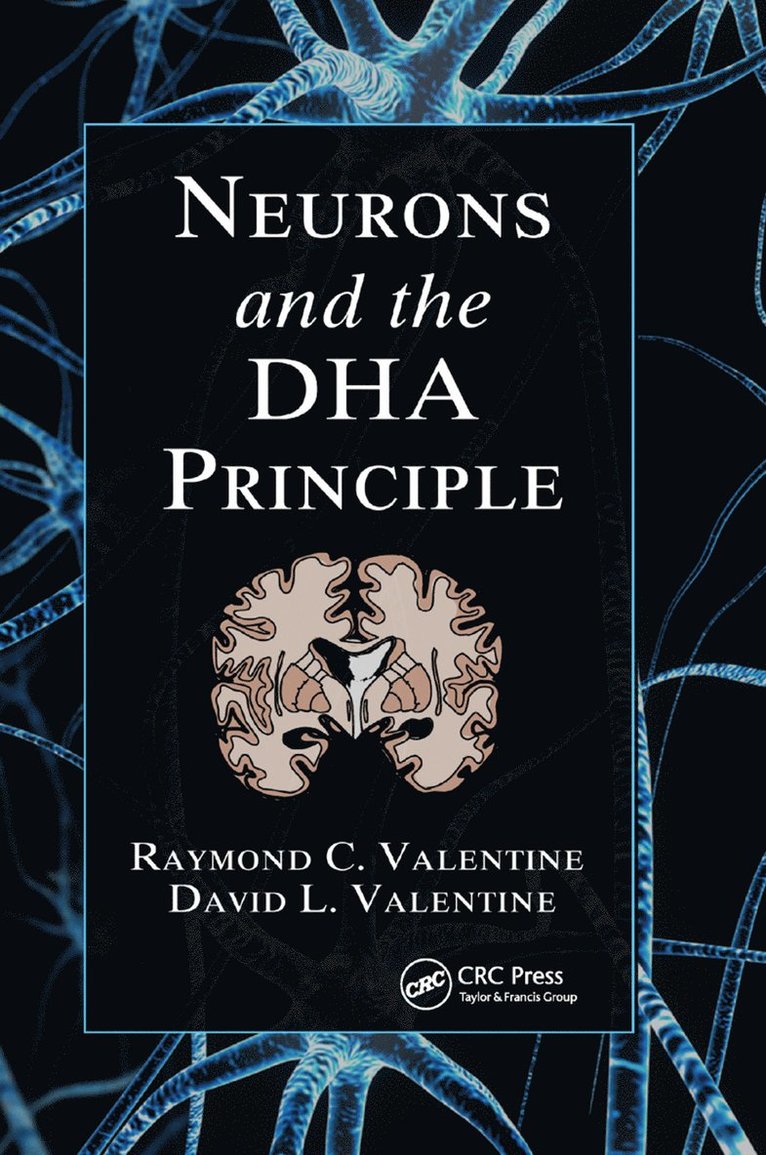 Neurons and the DHA Principle 1