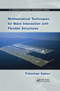 bokomslag Mathematical Techniques for Wave Interaction with Flexible Structures