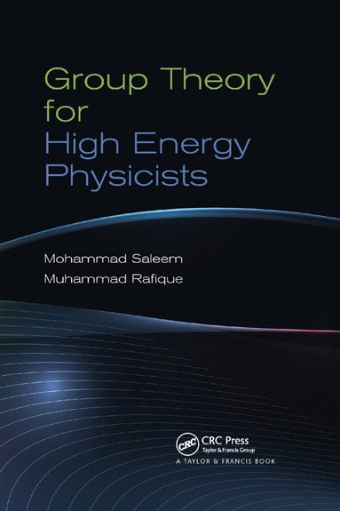 bokomslag Group Theory for High Energy Physicists