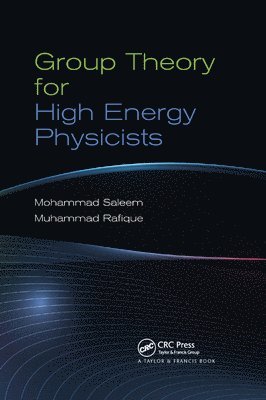 Mohammad Saleem, Muhammad Rafique - Group Theory for High Energy Physicists, Häftad