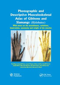 bokomslag Photographic and Descriptive Musculoskeletal Atlas of Gibbons and Siamangs (Hylobates)