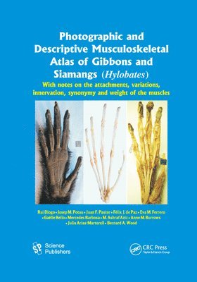 bokomslag Photographic and Descriptive Musculoskeletal Atlas of Gibbons and Siamangs (Hylobates)