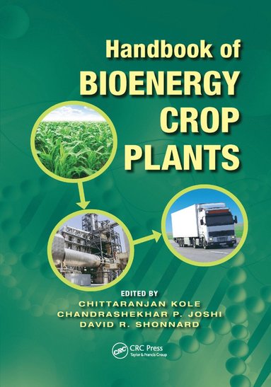 bokomslag Handbook of Bioenergy Crop Plants