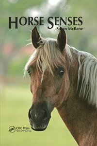 bokomslag Horse Senses