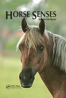 Horse Senses 1