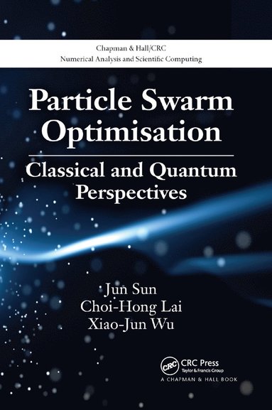 bokomslag Particle Swarm Optimisation