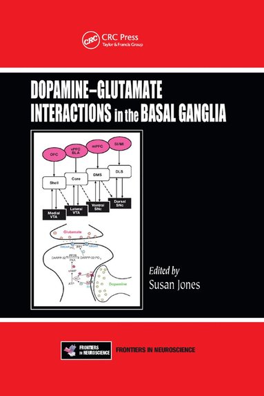 bokomslag Dopamine - Glutamate Interactions in the Basal Ganglia