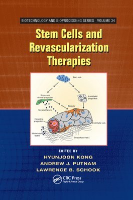 bokomslag Stem Cells and Revascularization Therapies