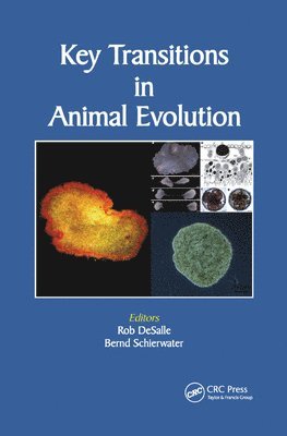Key Transitions in Animal Evolution 1