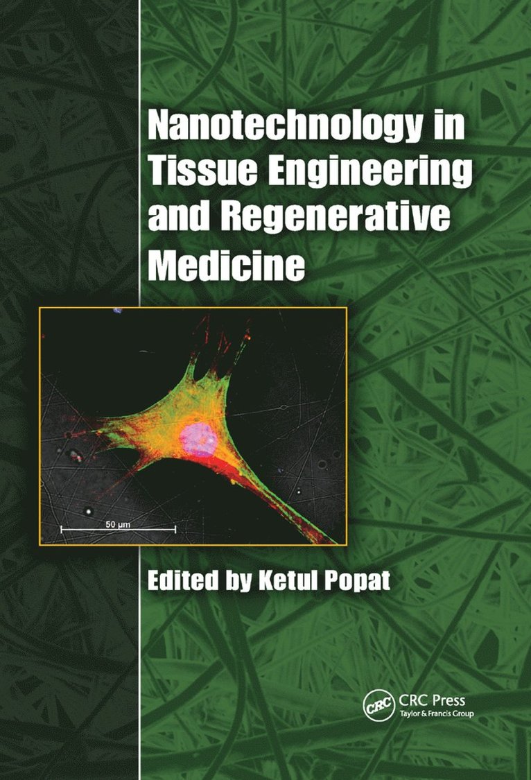 Ketul Popat - Nanotechnology in Tissue Engineering and Regenerative Medicine, Häftad