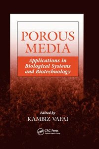 bokomslag Porous Media