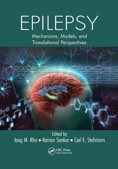Jong Rho, Raman Sankar, Carl E. Stafstrom - Epilepsy, Häftad