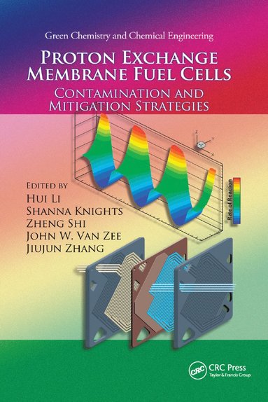 bokomslag Proton Exchange Membrane Fuel Cells