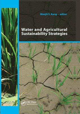 bokomslag Water and Agricultural Sustainability Strategies