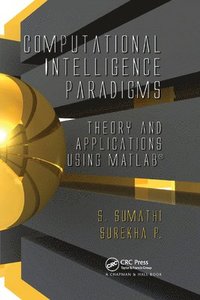 bokomslag Computational Intelligence Paradigms