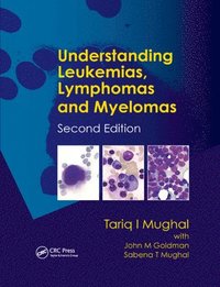 bokomslag Understanding Leukemias, Lymphomas and Myelomas