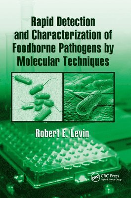 bokomslag Rapid Detection and Characterization of Foodborne Pathogens by Molecular Techniques