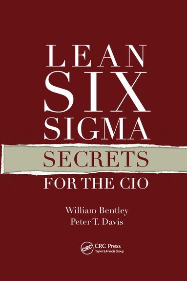 bokomslag Lean Six Sigma Secrets for the CIO