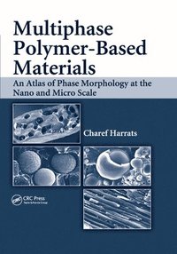 bokomslag Multiphase Polymer- Based Materials