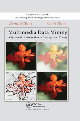 Multimedia Data Mining 1