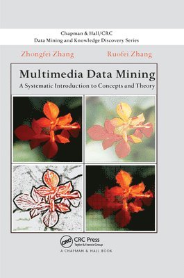 Zhongfei Zhang, Ruofei Zhang - Multimedia Data Mining, Häftad