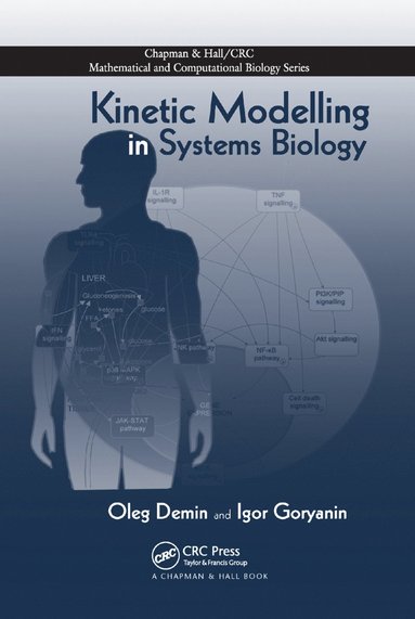 bokomslag Kinetic Modelling in Systems Biology