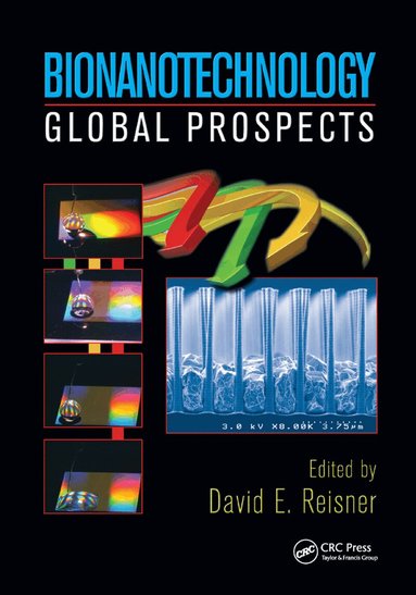 David E. Reisner - Bionanotechnology, Häftad