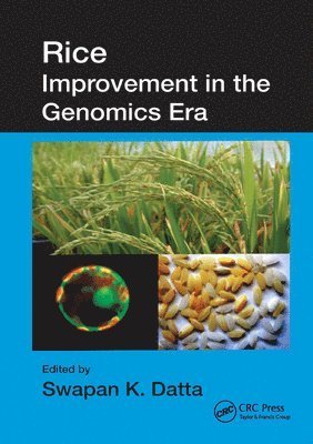 Swapan K. Datta - Rice Improvement in the Genomics Era, Häftad