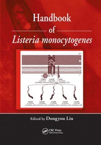 bokomslag Handbook of Listeria Monocytogenes